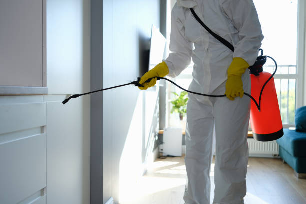 Best Crawl Space Mold Removal  in Wellington, FL